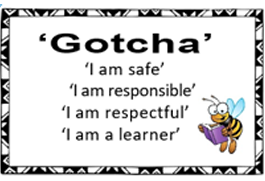 Gotcha image.png
