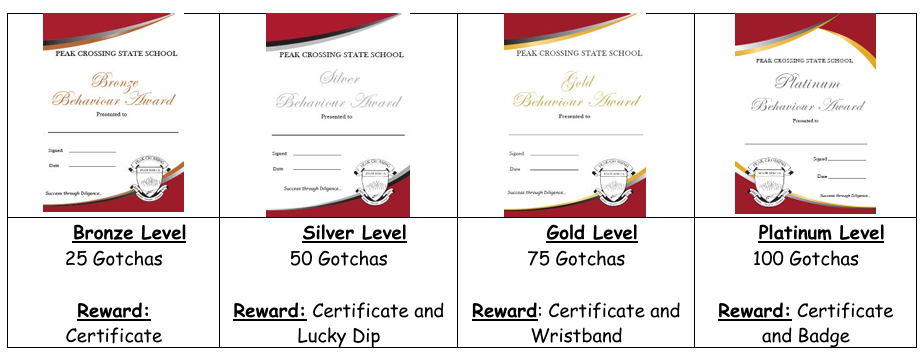 PEL awards.png